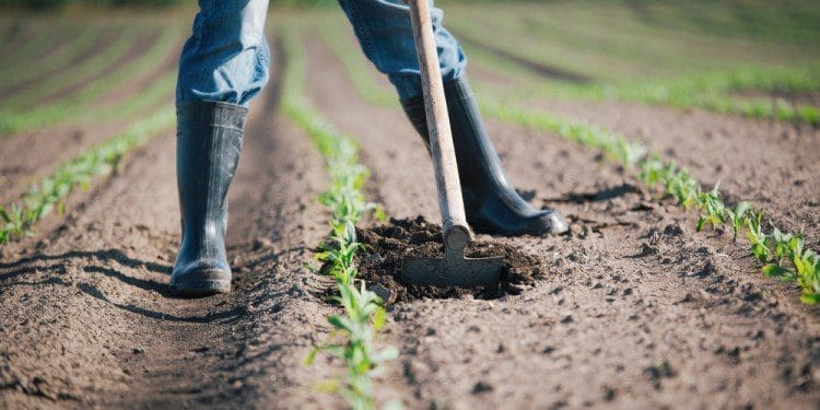 agricoltura clima