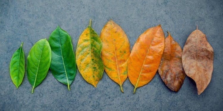 previdenza-fondi-pensione-cambiamento-fornero