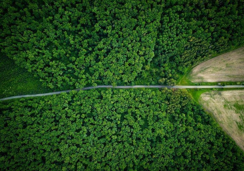 fondi-esg-sostenibili-ambiente