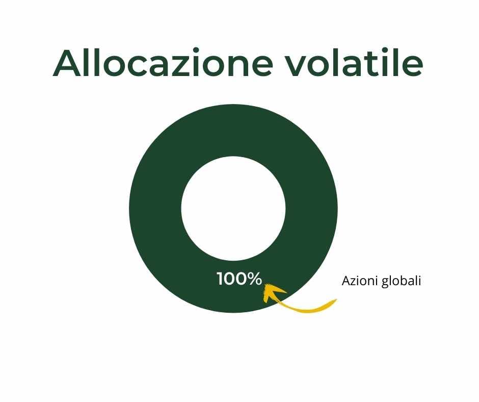 allocazione in azioni volatile