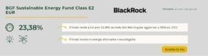 BGF Sustainable Energy Fund Class E2 EUR
