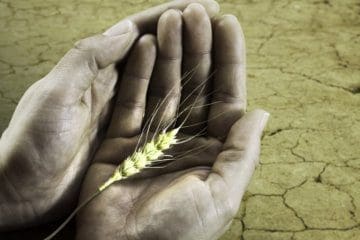 crisi-alimentare-agricoltura-investire