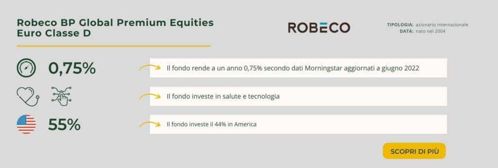 Robeco BP Global Premium Equities Euro Classe D