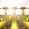nucleare-gas-investire