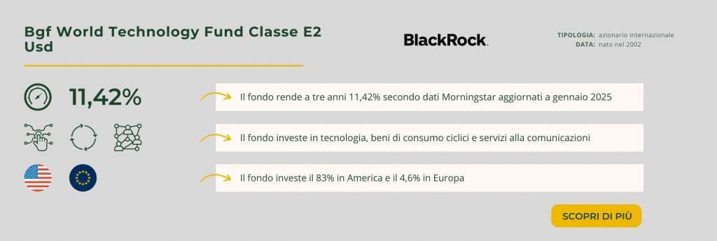 Bgf World Technology Fund Classe E2 Usd